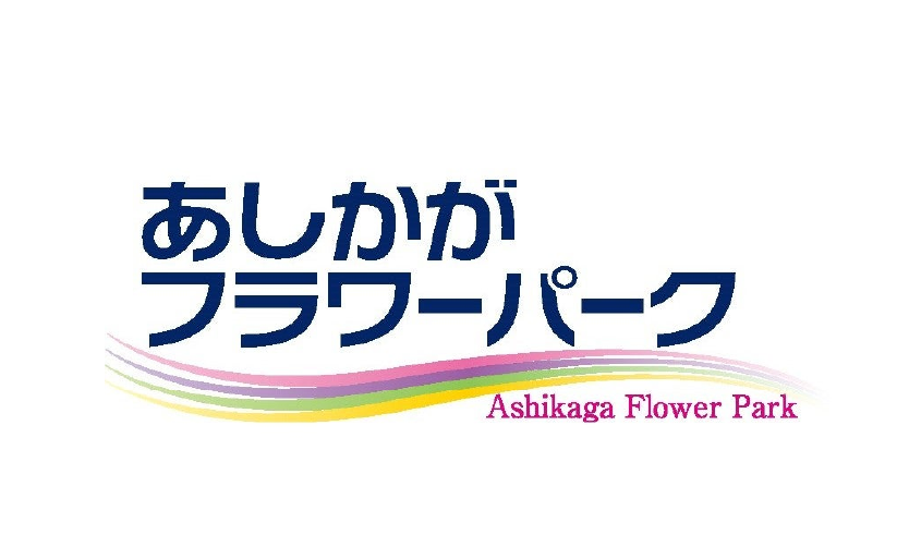 afp